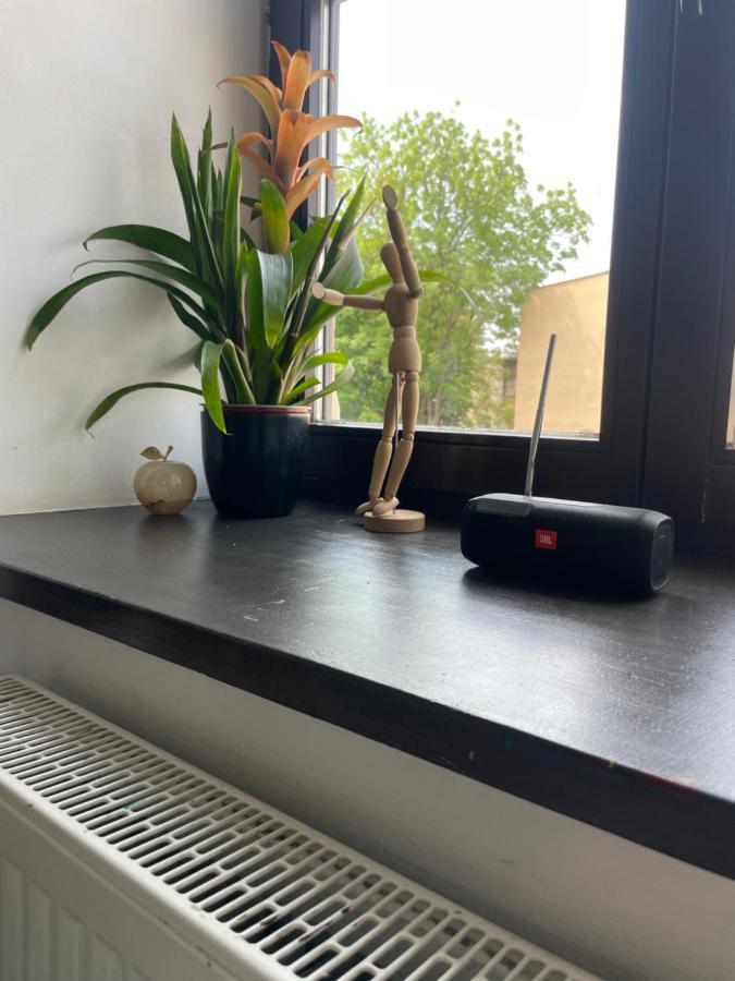 Apartament W Centrum Przy Studni 102M2 Apartment Chelm Ngoại thất bức ảnh